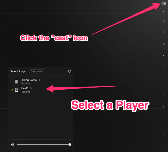 Check your Audio Settings and Select a Player
