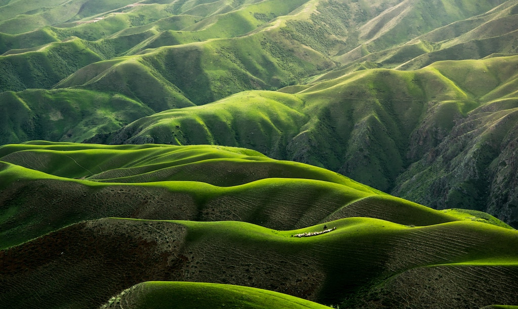 Rolling Hills