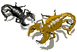 How Bad is the Sting of a Scorpion? How Bad is the Sting of a Scorpion?