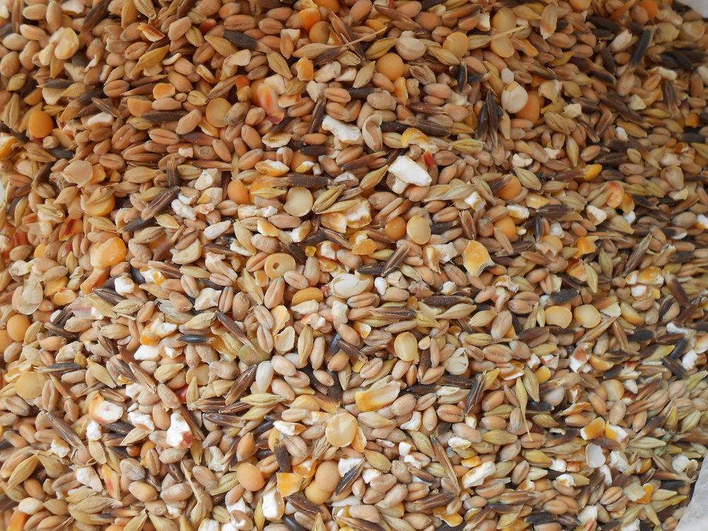 Mélange « Basse-cour »