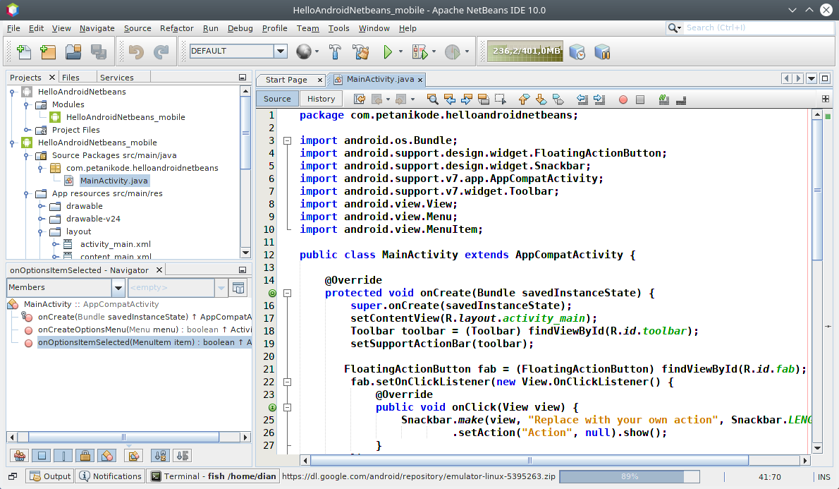 meaning of netbeans project folder for dev c