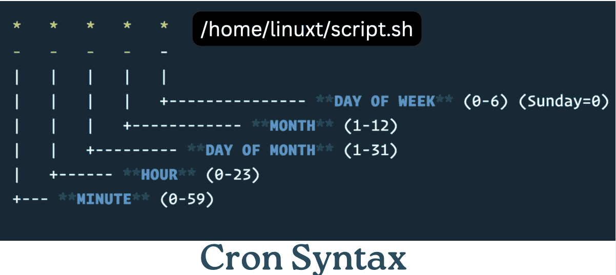 Top 10 Cron Examples Run Every Hour , Every 24 Hour , Every Weekend