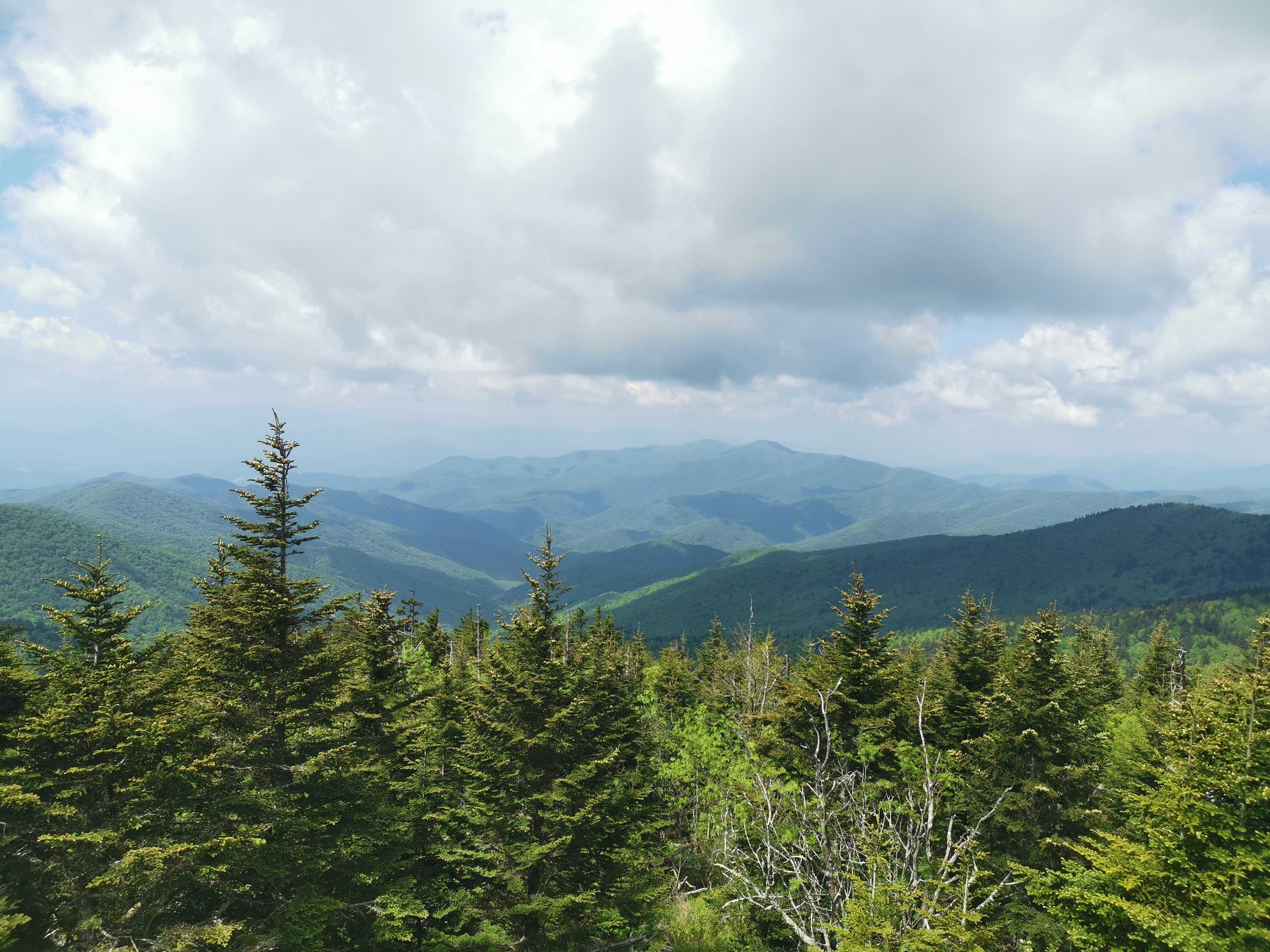 La visite expresse des Smoky Mountains cover image