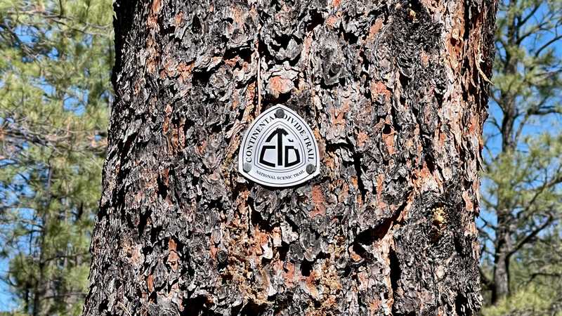 A CDT emblem is mounted on a tree