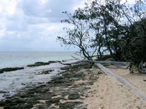 Shore of Green Island
