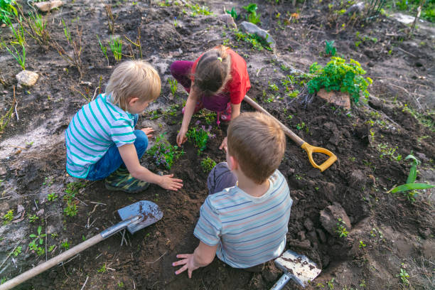 Niños sembrando plantas