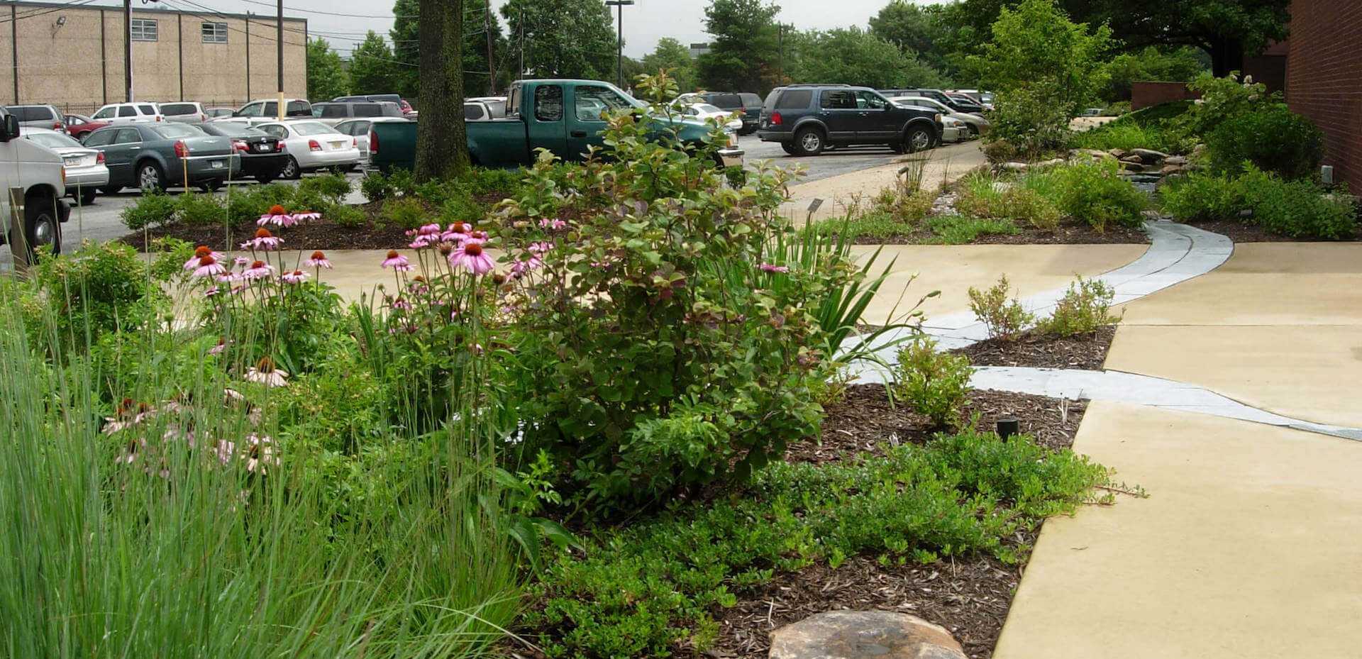 landscaping next to parking lot