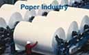 Duplex Steel Flange In Australia in Paper Industry at Germany
