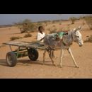 Sudan Transport 7