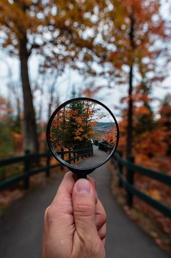 Hand holding magnifying glass of fall foliage.