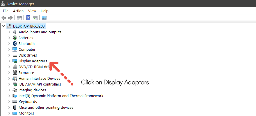 click on display adapters