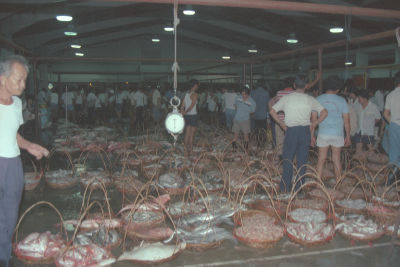 Fish for sale at the Punggol Fish Market. Fishes are placed in baskets on the floor in a large warehouse. Crowds of men inspect the fish as they buy and sell them.