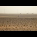 Sudan Desert Walk 6