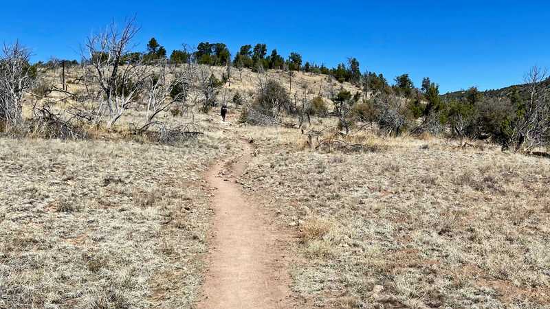 A dry, open trail