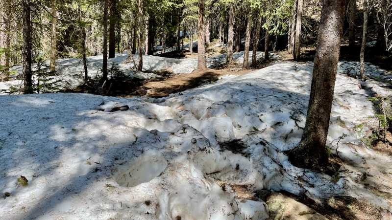 Deep, slushy snow over the trail