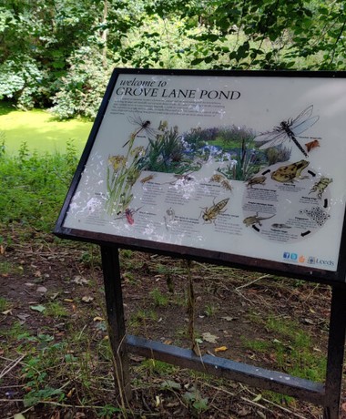 Grove Lane Pond with Sign