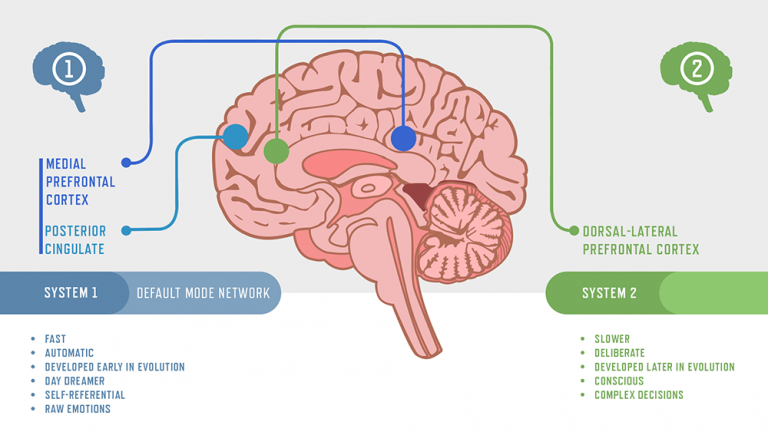 Diagram of the difference between the brain's default mode network: System 1 (medial prefrontal cortex and posterior cingulate) versus System 2 (dorsal-lateral prefrontal cortex)