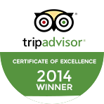 TripAdvisor 2013