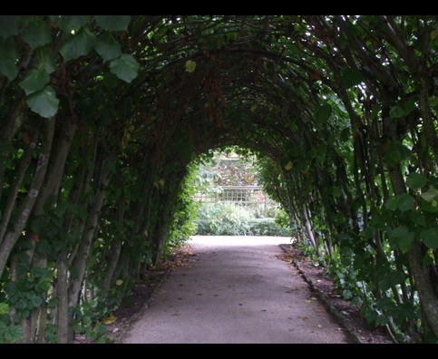England Hidcote Gardens 8