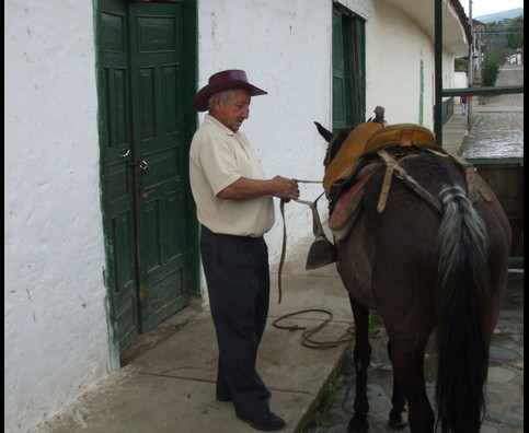 Colombia Sanagustin Horses 4