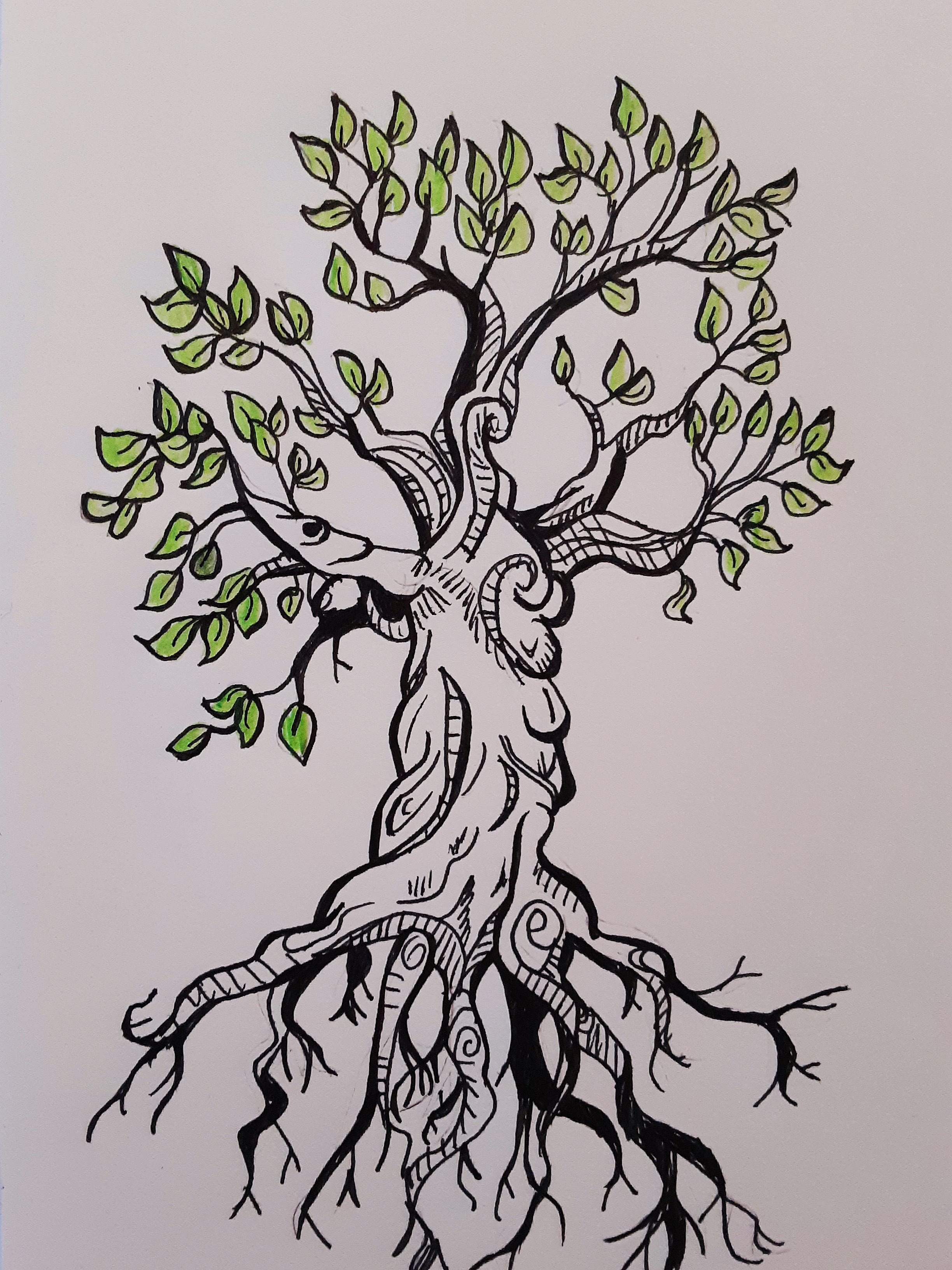 Tree Tree