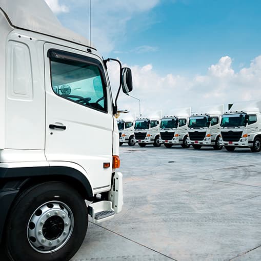 Fleet img uk