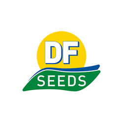 DF Seeds