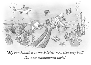 New Yorker style illustration of an underwater scene. Marine life is gathered around a Transatlantic cable with their Laptops and other digital devices. The caption reads: My bandwidth is so much better now that they built this new transatlantic cable