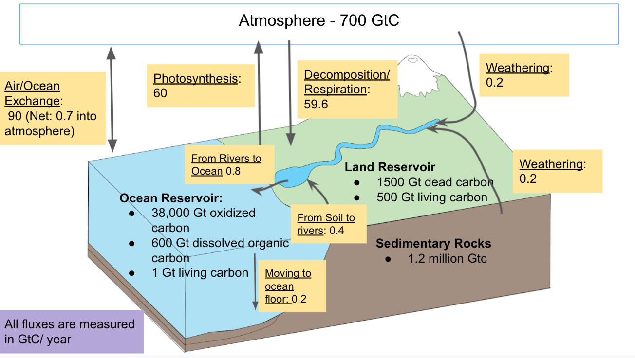 This figure shows the carbon held in each of four reservoirs: atmospheric, ocean, land, and sedimentary rock. It shows the movement of carbon between reservoirs in the preanthropogenic era