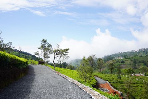 Overview of plot C-8