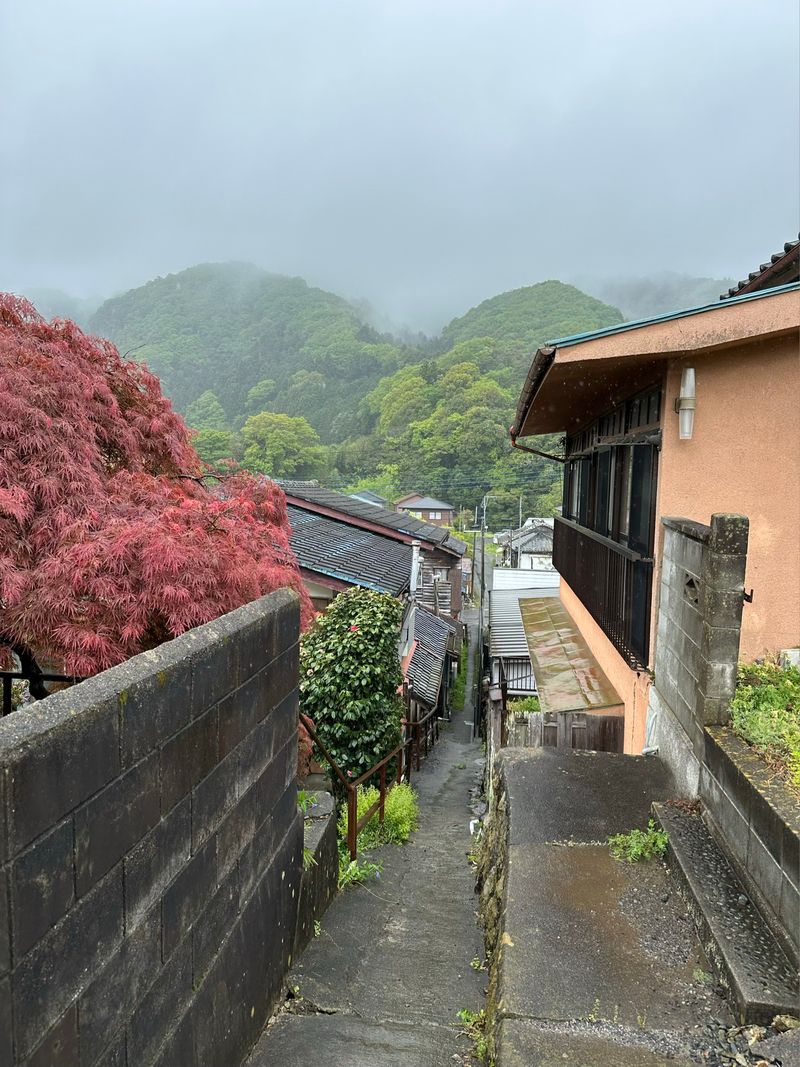 A photo of a steep (downward), narrow alley in the rain. A red-leafed tree is in the foreground on the left, and houses either side. In the background are green mountains and mist.