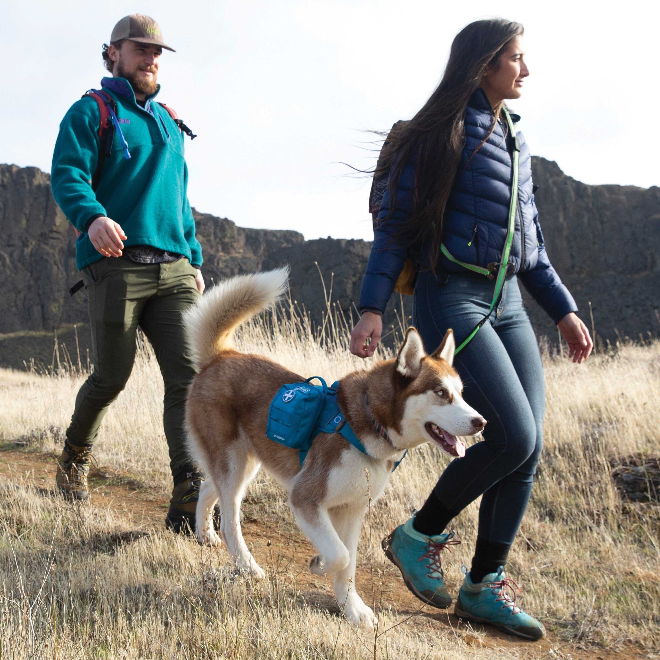 Hiking with Your Dog: State by State Guides