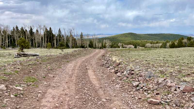 The Mt. Taylor Alternate route flattens