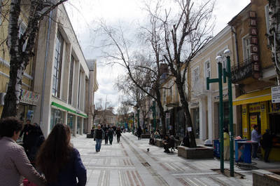 Vidin