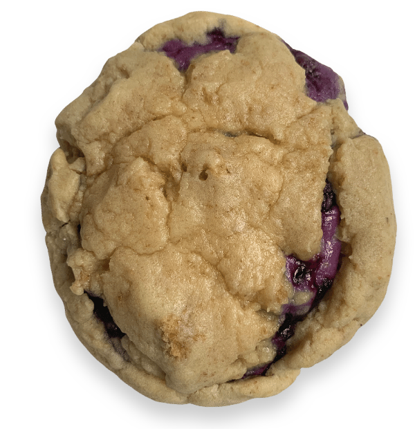 A Blueberry Cheesecake cookie