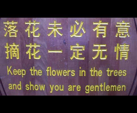China Silly Signs 13