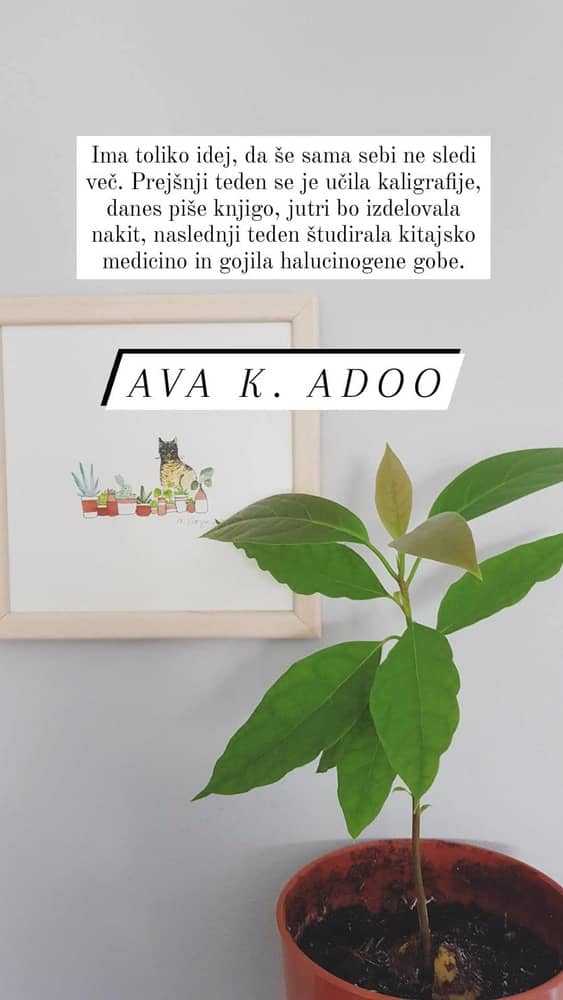 Ava K. Adoo