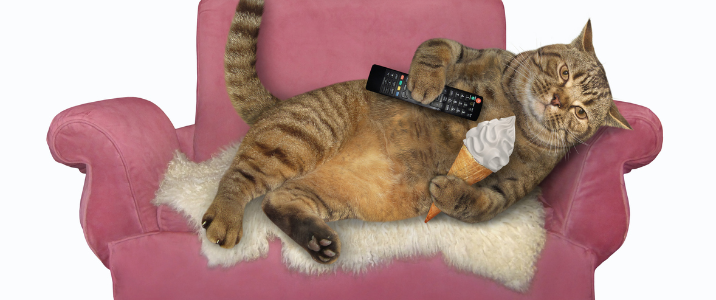 The beige lazy big cat with a tv remote control and a cone of ice cream in its paws is resting on a pink sofa at home. A bird is next to him. White background. Isolated.