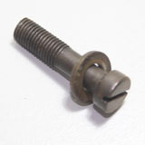 Screw Screw