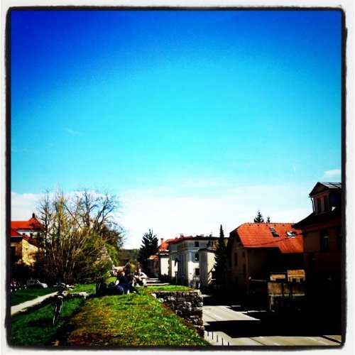 tumblr lja8awZaYe1qekjngo1 500