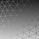 Web