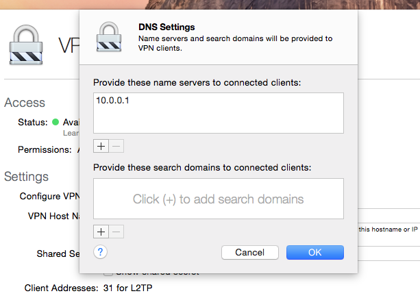 VPN DNS Settings
