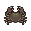 Mitten Crab