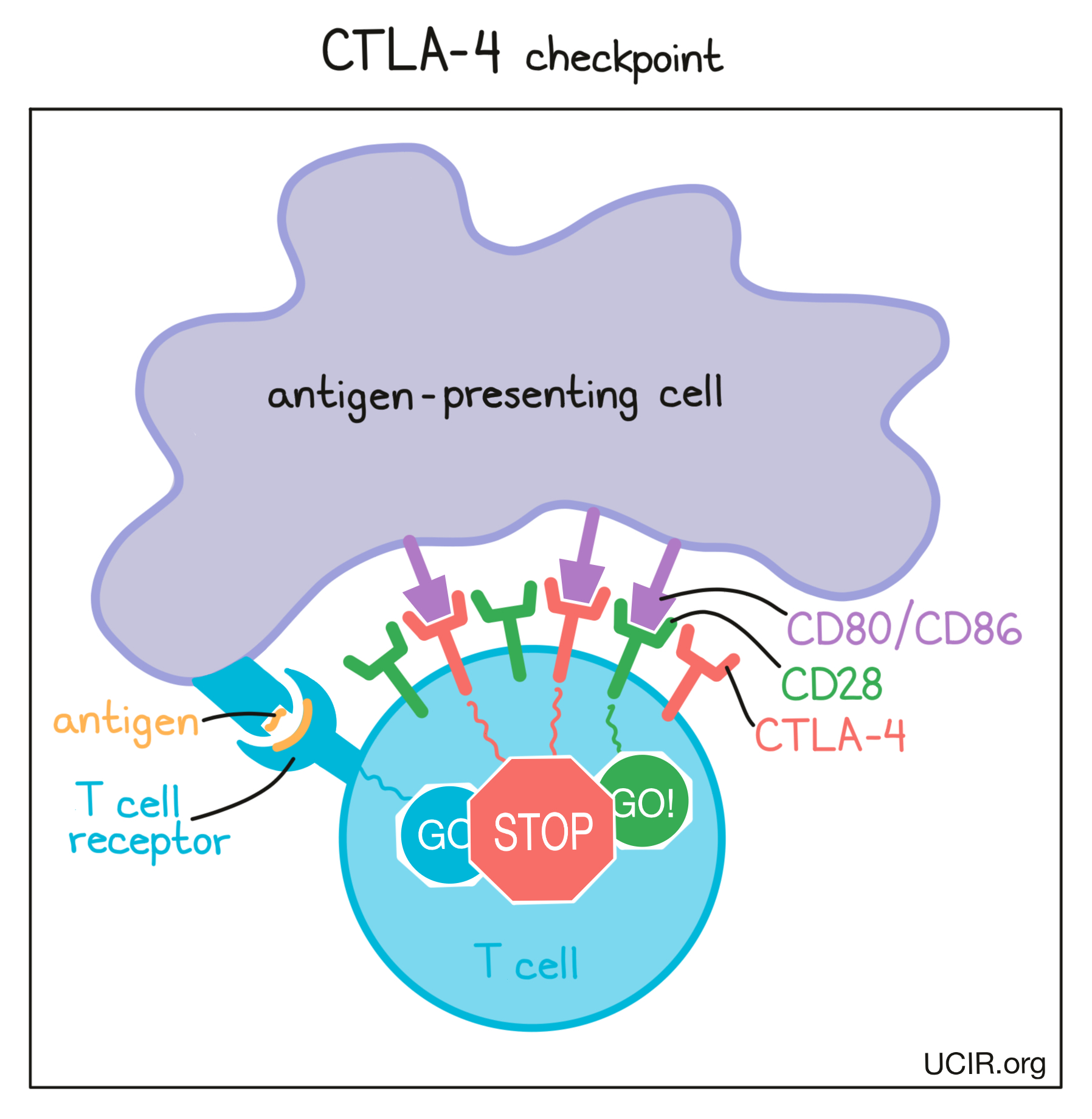 checkpoint-blockade