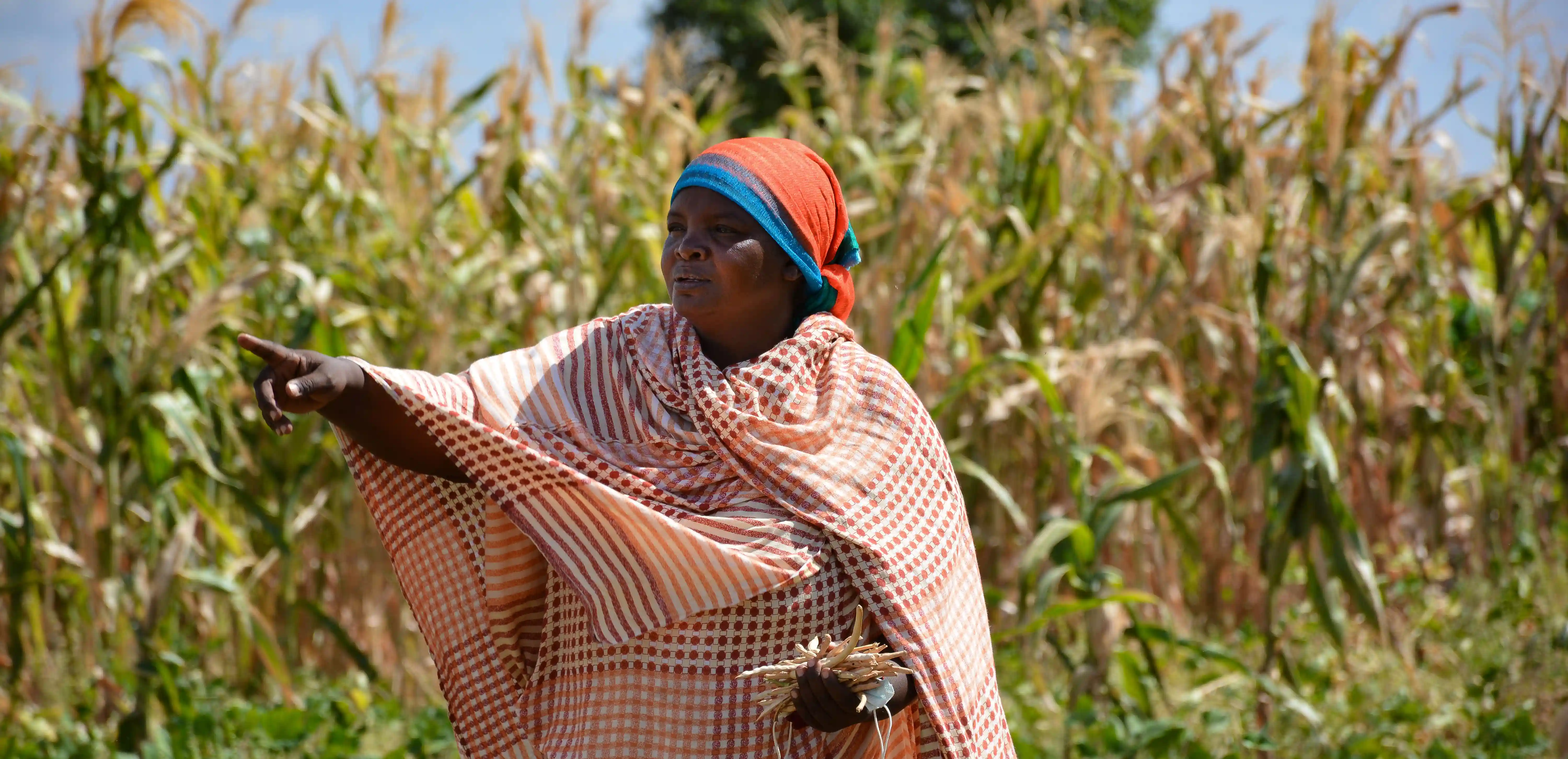 A woman farmer in Kenya