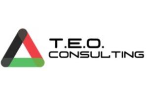 teo_consulting