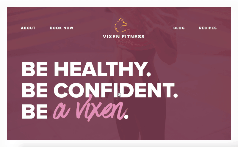 The homepage of the Vixen Fitness website