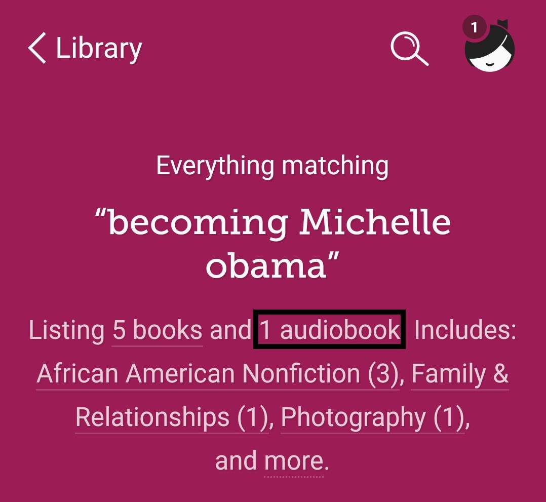 A screenshot showing how to filter search results by eAudiobooks.