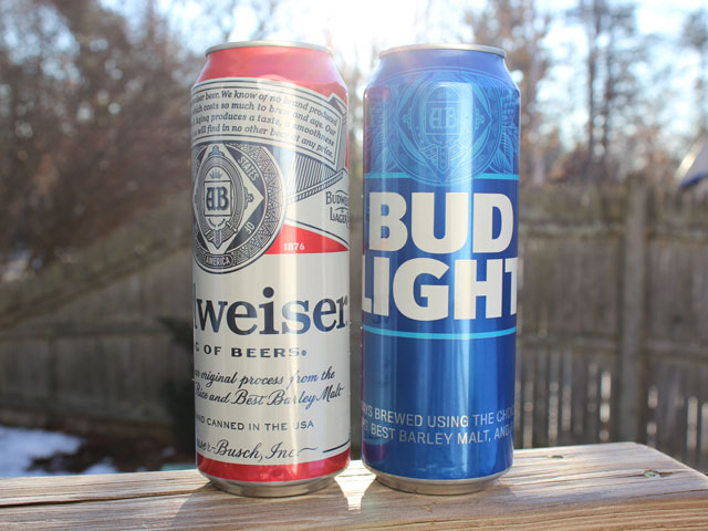 Tallboy cans of Bud and Bud Light