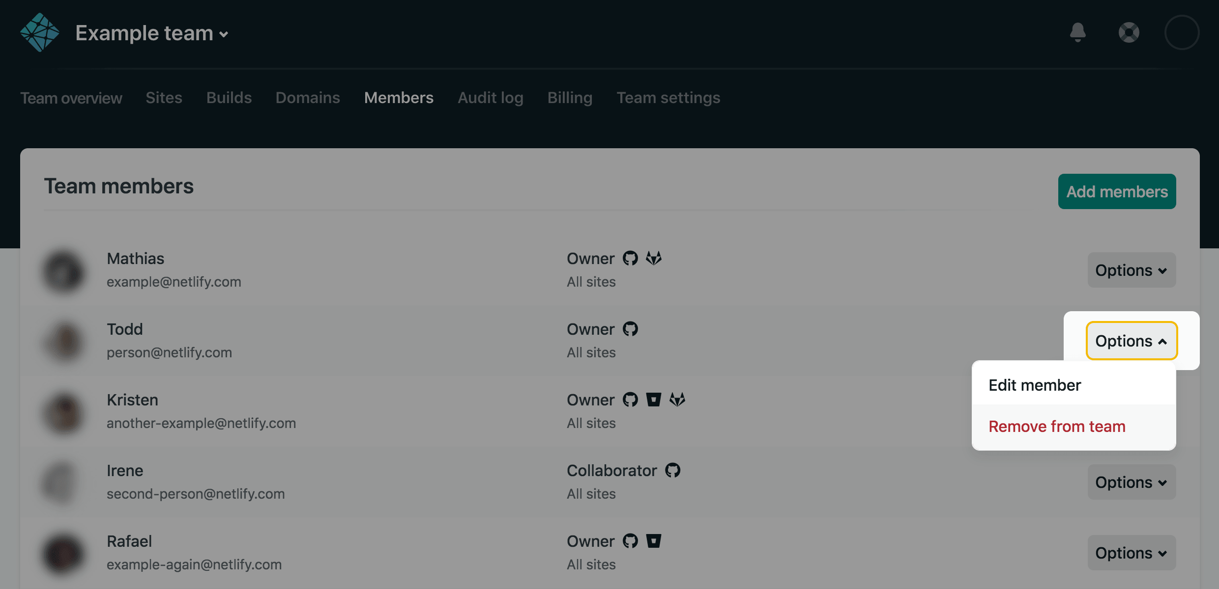 Owners can use the "Options" menu to remove or edit a member.